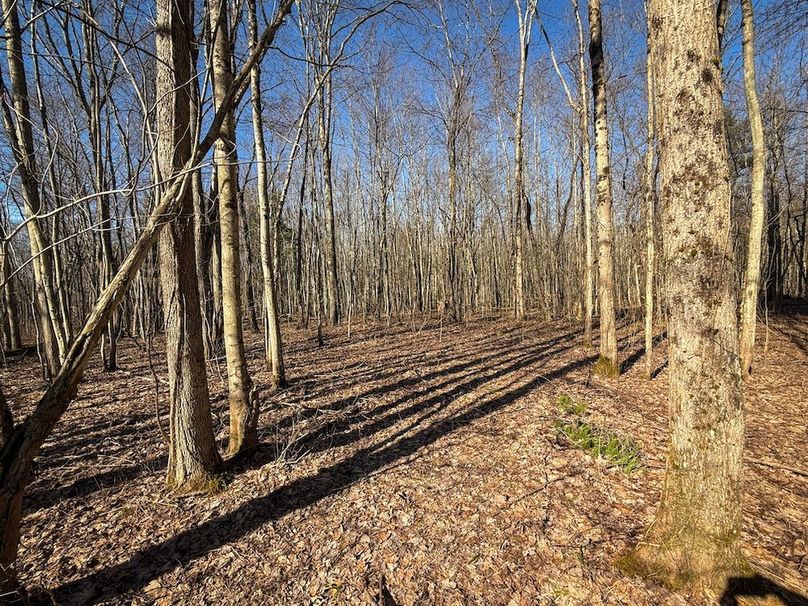 Oswego_16.32_Phillips Photo 8