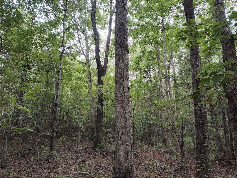 IMG_20250914_154129989