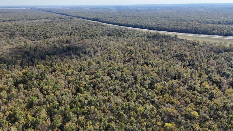 dji_fly_20251106_035502_0096_1762382144555_photo