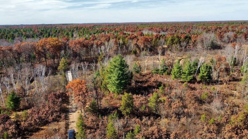 dji_fly_20241024_131118_506_1730406208509_photo_optimized