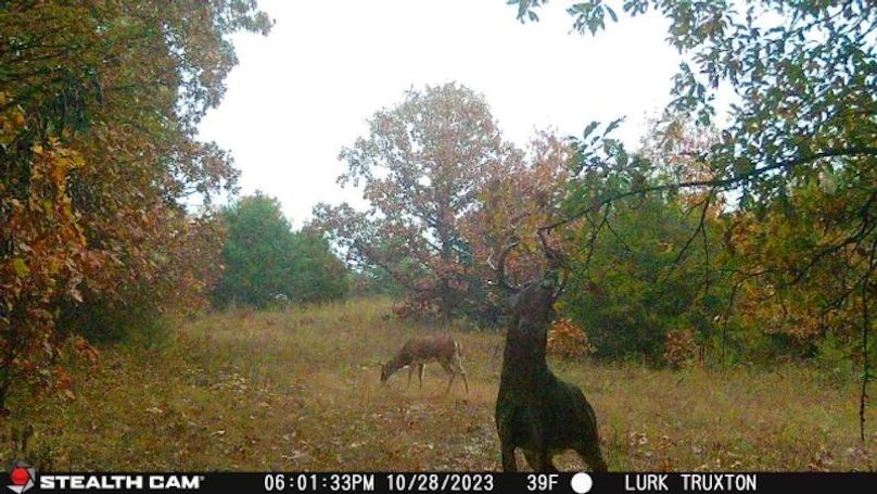 2023102818013401000021