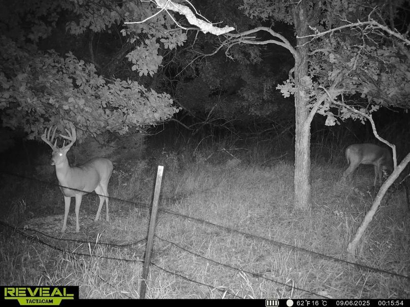 860322065434513-100-3-09062025045348-HD-SYEW6629