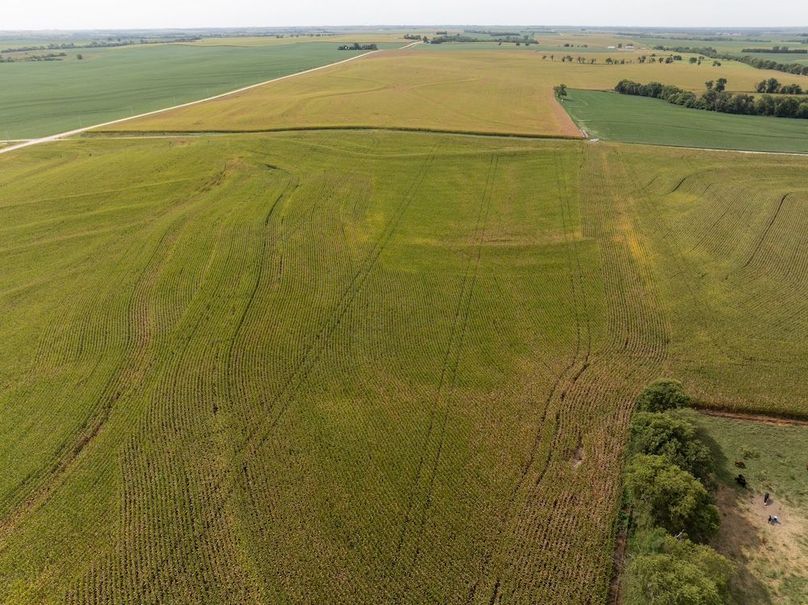 Copy of DJI_20250827110838_0008_D