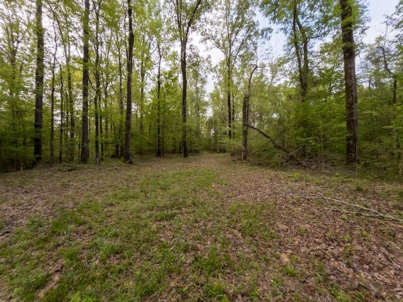 Claiborne Co-314-Fernandez-74