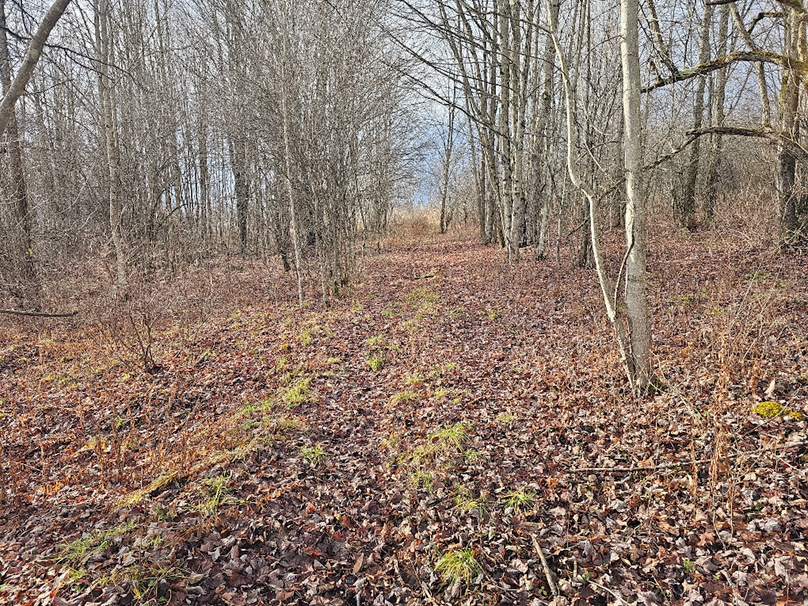 photo_cab0ca5e-f207-4186-bd8b-08bd19c2242d