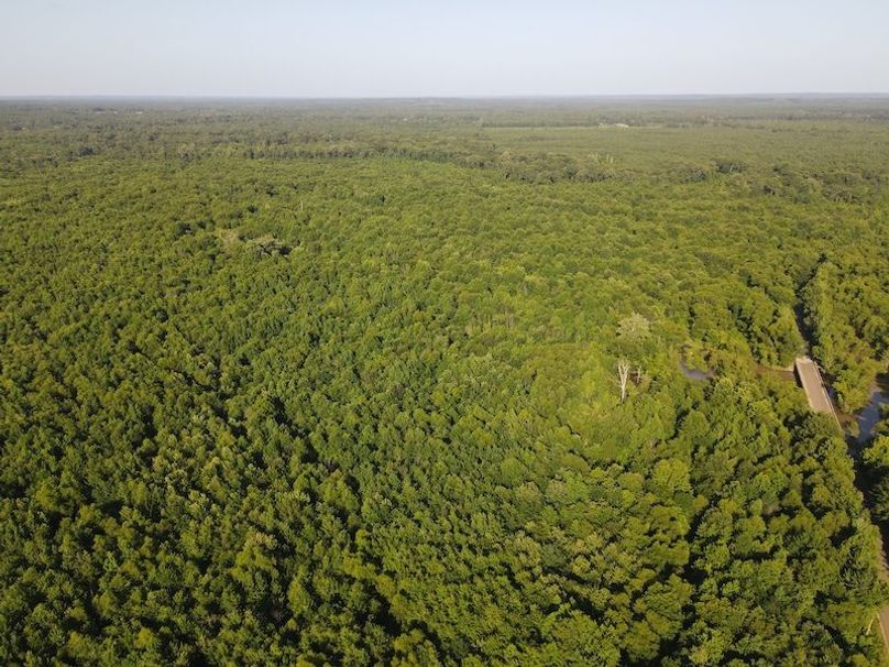 DJI_0402