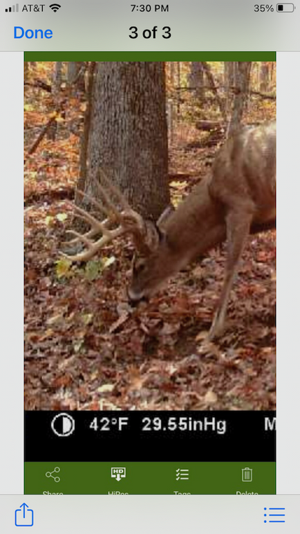 trailcam5