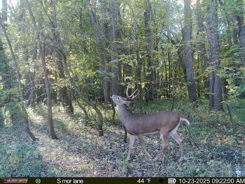 thumb-8c30bab900374c3bb13f35391e2fc636ce3aad2f