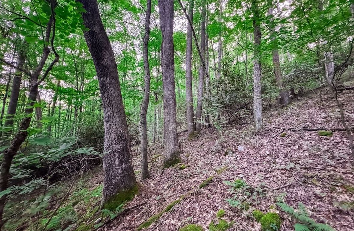 Webster, WV 42 AC Barger-06