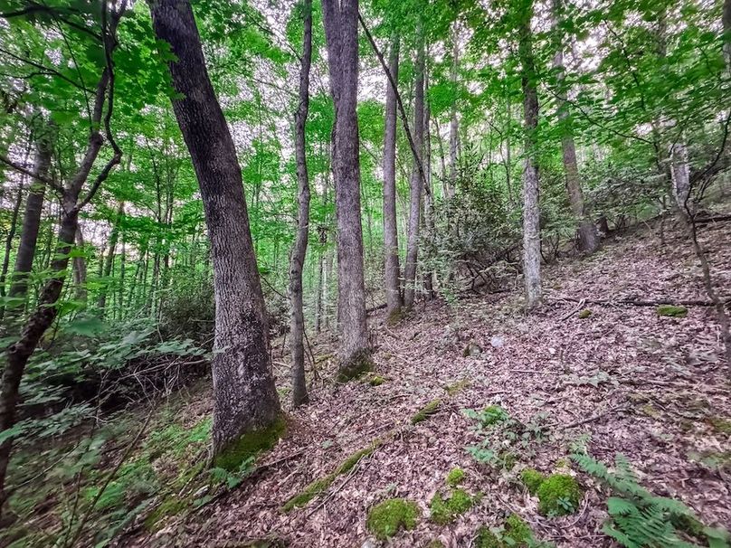 Webster, WV 42 AC Barger-06