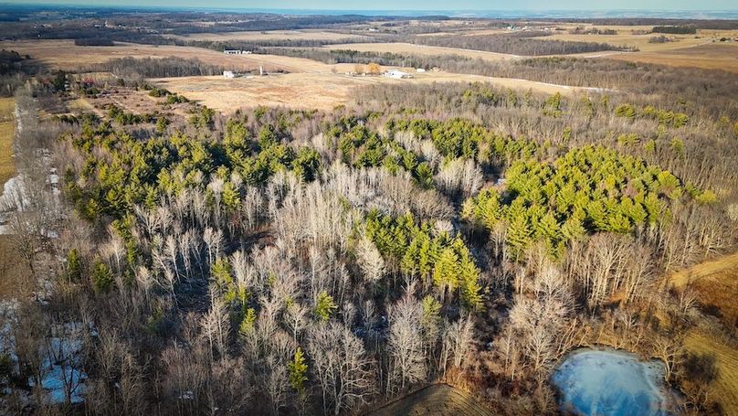 Seneca_43_Hohwald_Photos_17