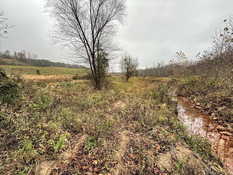 006 nice creek bottom fields-2