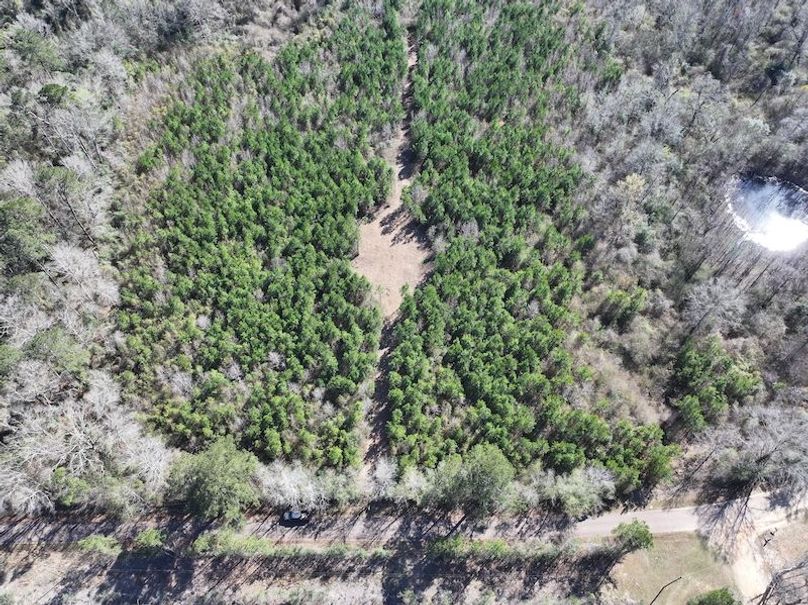 dji_fly_20260302_130136_0330_1772559704155_photo