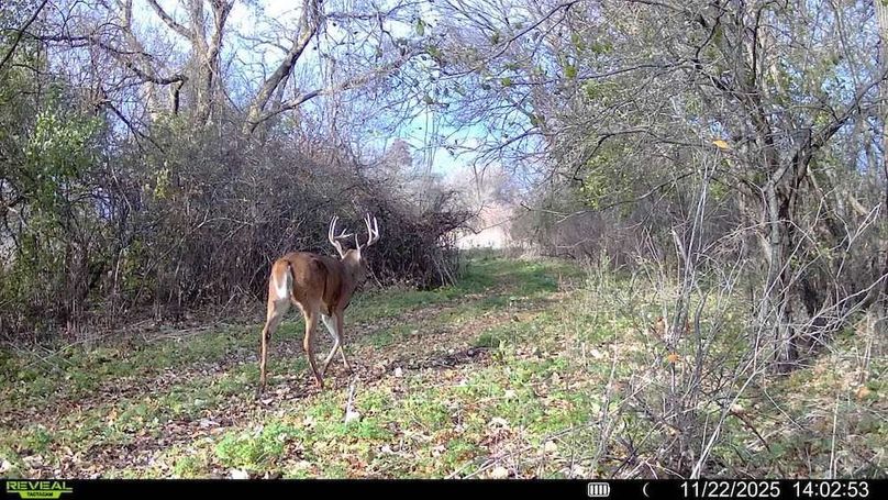 CAM 2