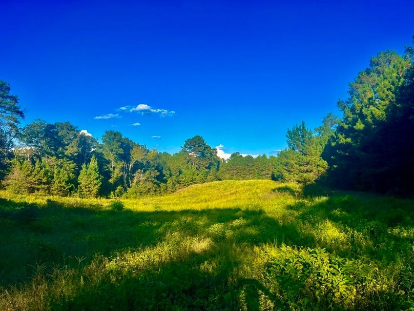 AFA2EDDA-3448-4D85-98A3-D7BE7D9295A1_1_201_a