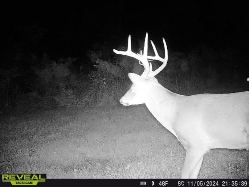 862515041535786-90-5-11052024213538-W1000873