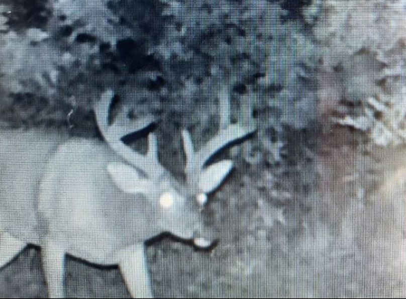 Lee County, MS 92+--25