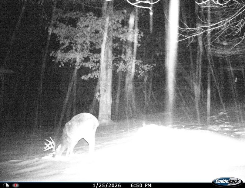 4D9527D9-3A3D-4739-BC69-68866B460F05_1_105_c