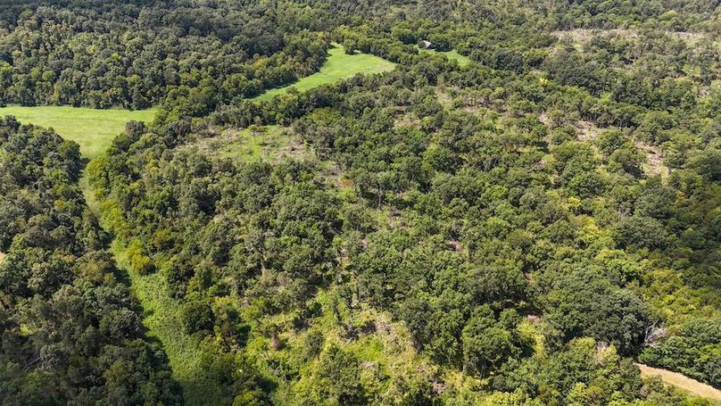 DJI_20250808123544_0007_D