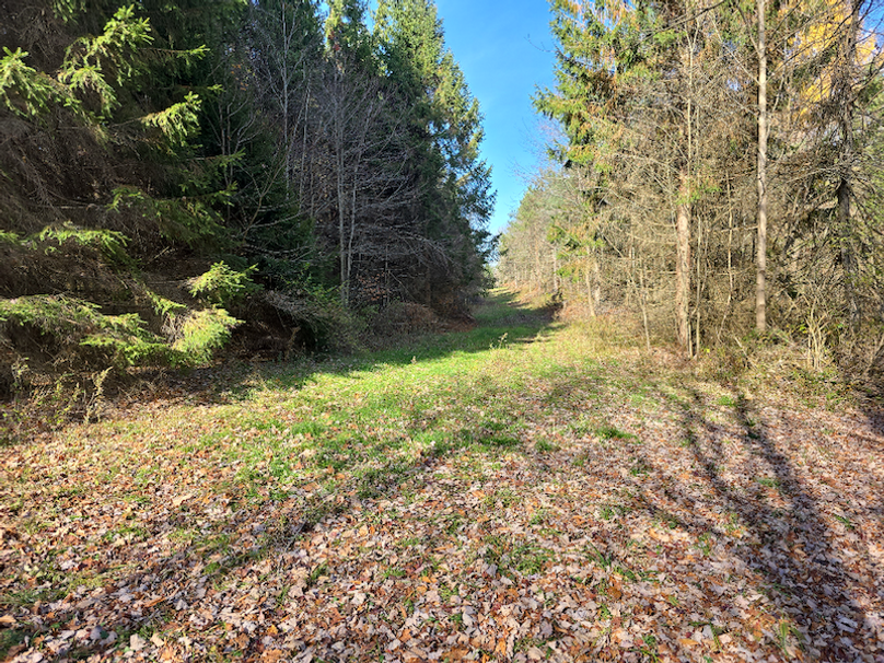 photo_c3b5c3bd-31e2-4873-9576-a65c295e22da