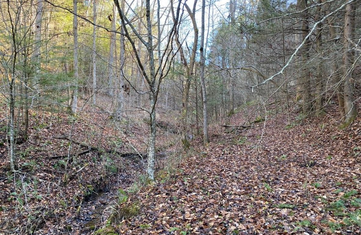 004 the valley leading upstream to the west
