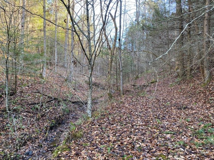 004 the valley leading upstream to the west
