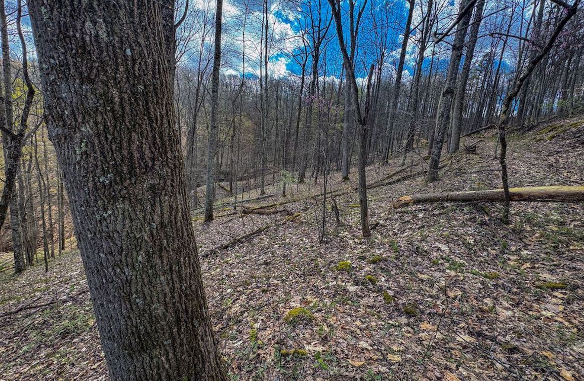 Wirt, WV 62.5 AC Full-02