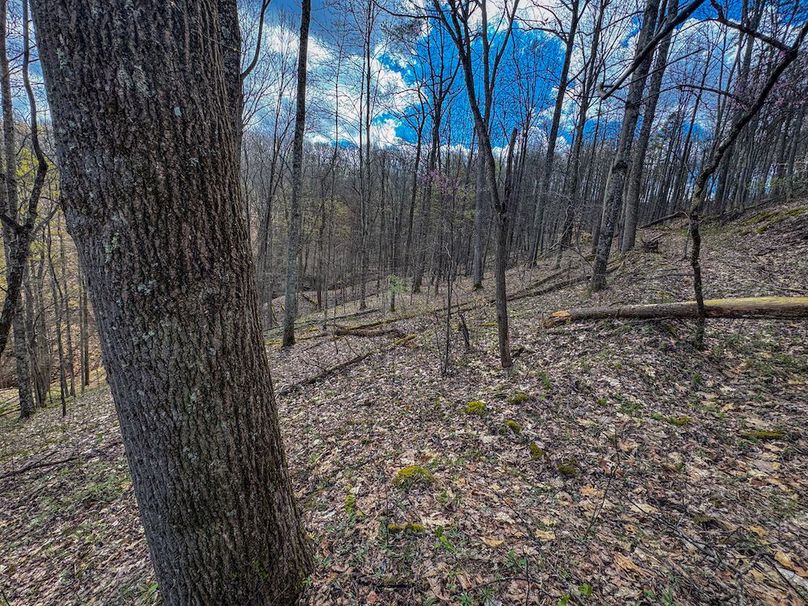 Wirt, WV 62.5 AC Full-02