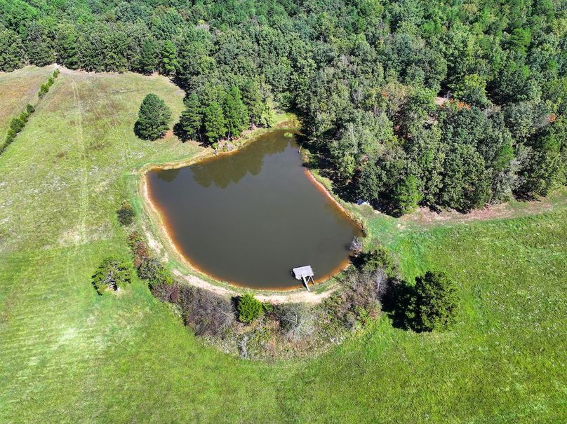 DJI_20240925112121_0200_D