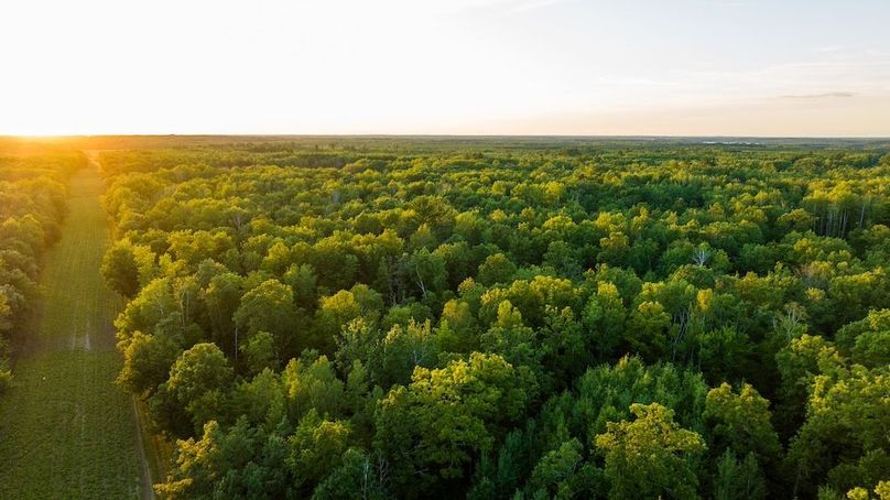 Cass MN 1095 Featured ProPhoto-113