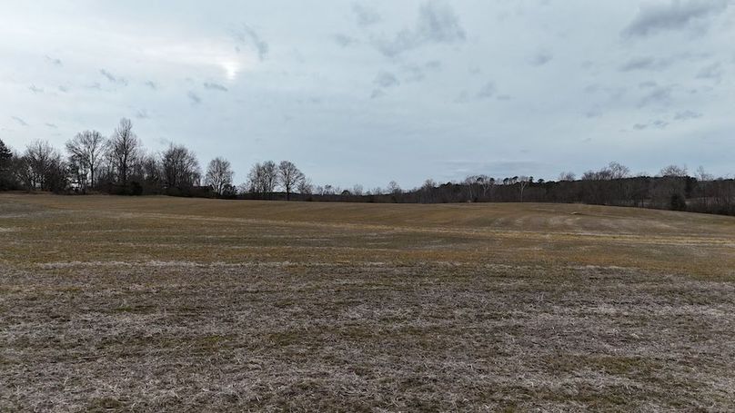 dji_fly_20260218_164340_0022_1771452059034_photo