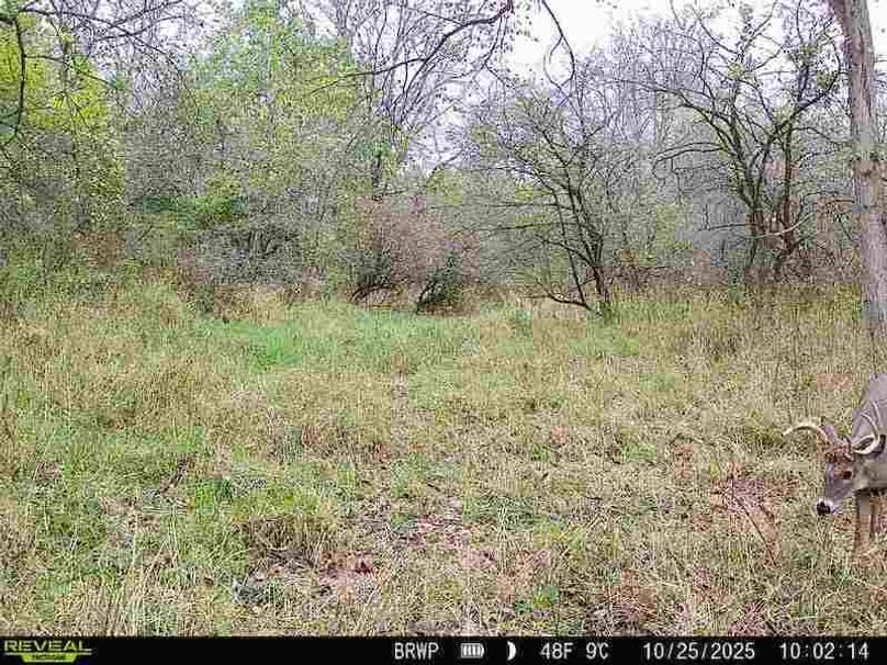 860322065236702-100-4-10252025100214-W1000311