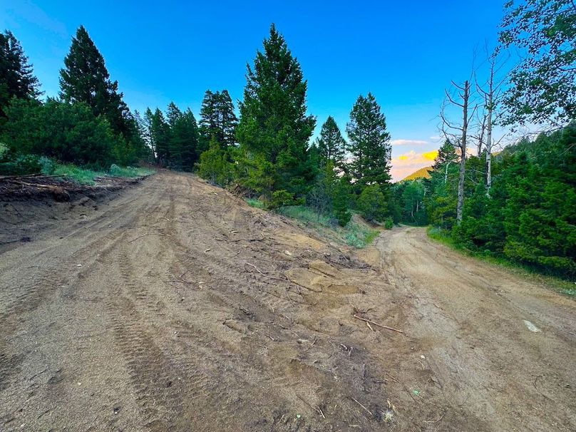 Copy of 20240711-IMG_0797