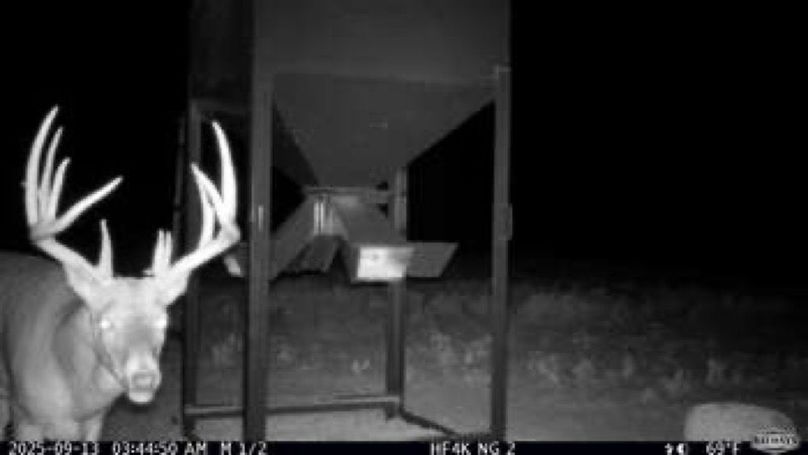 54cfca2e97c215dad57d0d92eb5e2409-small