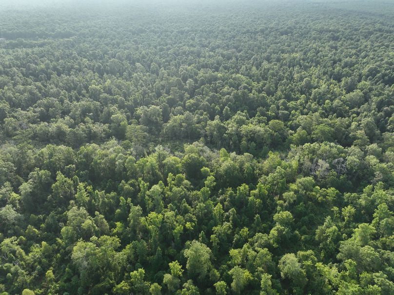 dji_fly_20230630_080800_195_1688137767698_photo