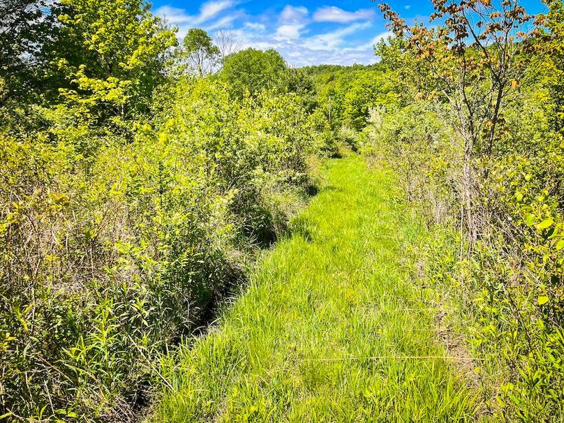 Tioga_28.322_VanNordstrand_Photos_23