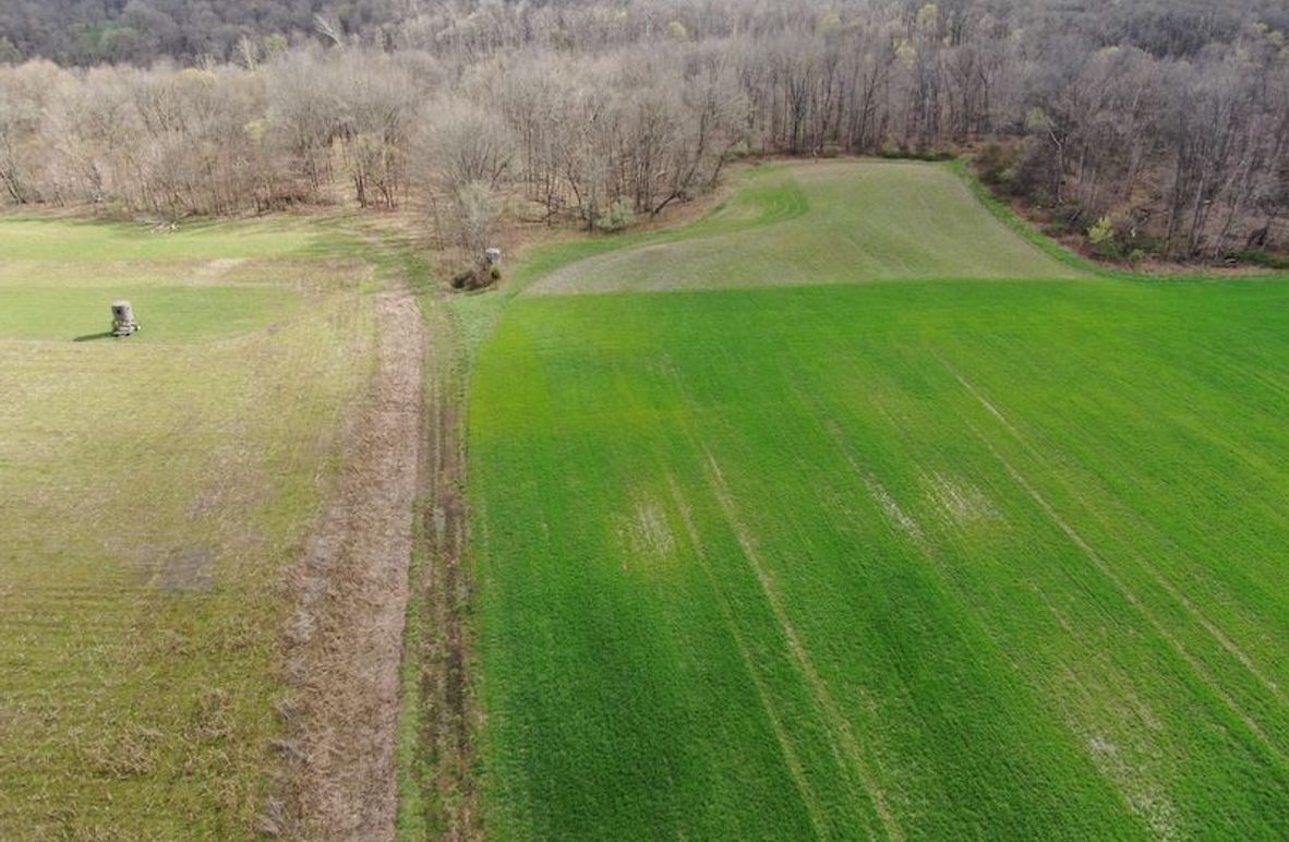 DJI_0840