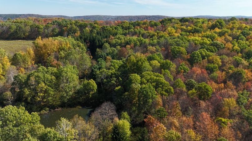 24 DJI_20251004232709_0003_D