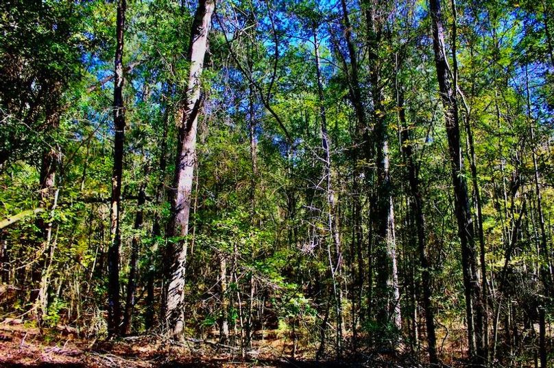 CB594C4B-9B6E-44F2-AB52-38B3095BD5B4_1_105_c