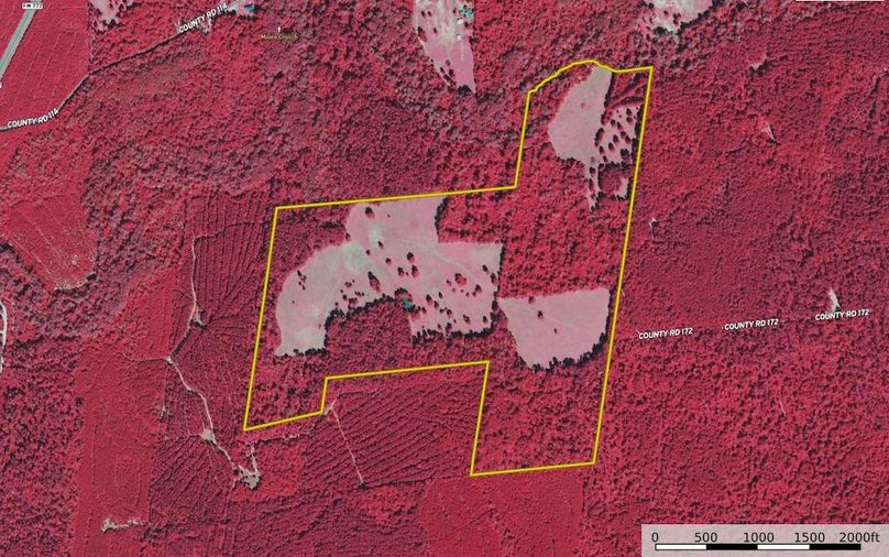 Screenshot 2025-07-03 131800