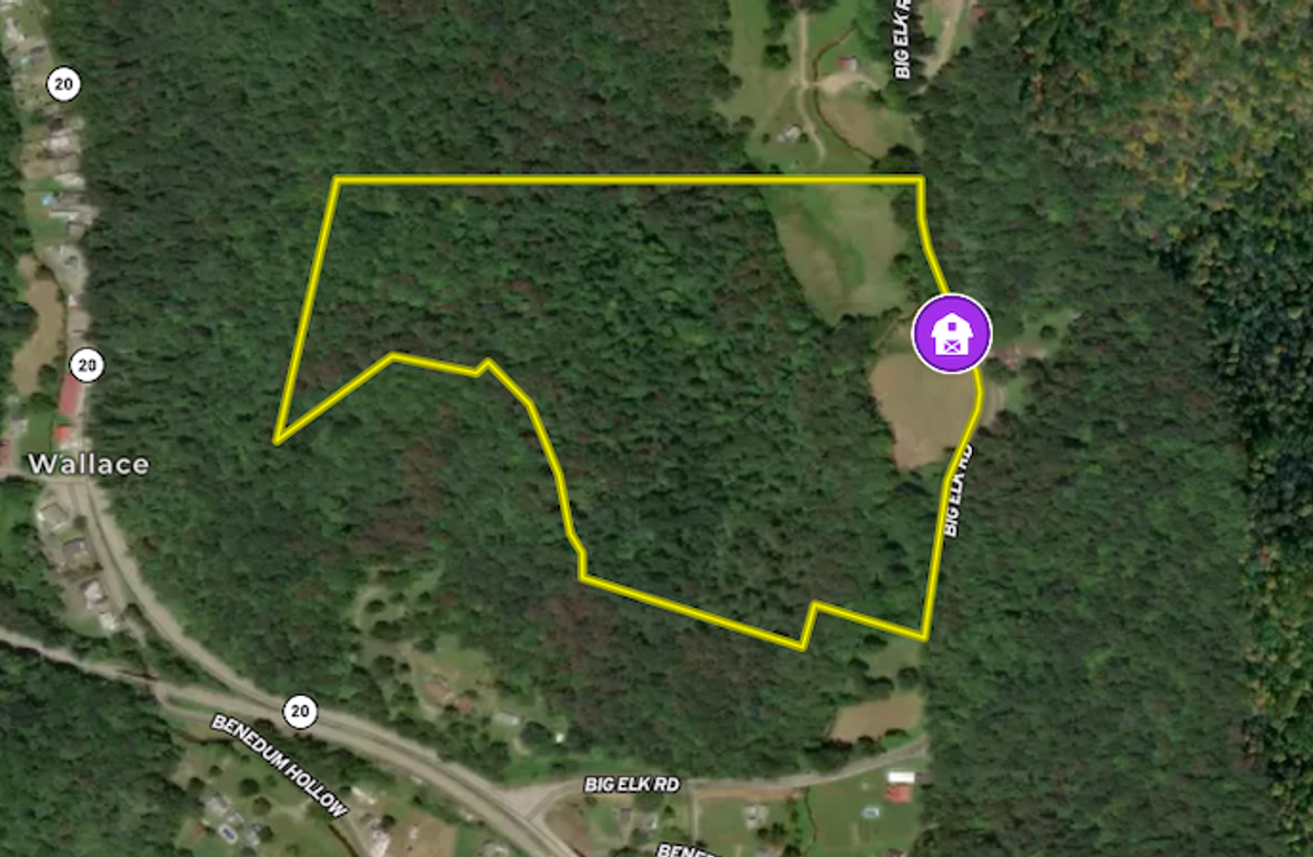 Screenshot 2025-07-29 at 5.27.31 AM