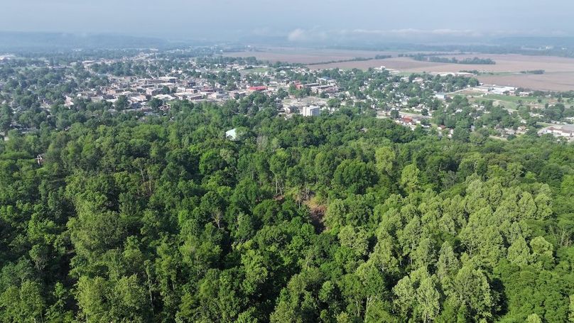 dji_fly_20240516_093450_0018_1715866834662_photo