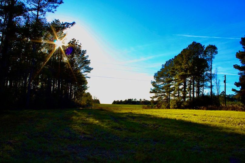 EB8E0E1C-F7BE-44CB-ACCE-F9D5A09EA7A0_1_201_a-2