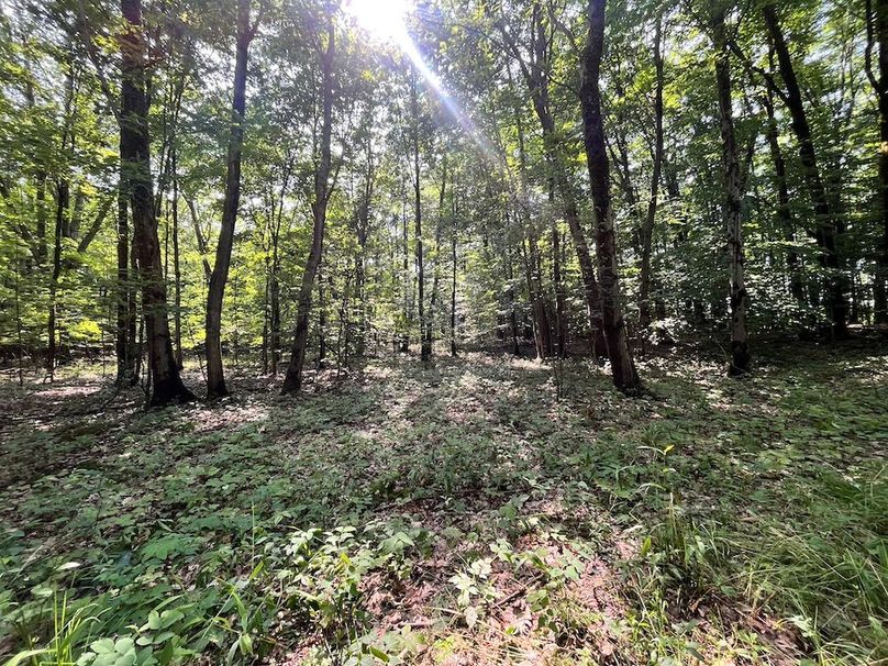 Oswego_22.46-Ross-French_Photos_12