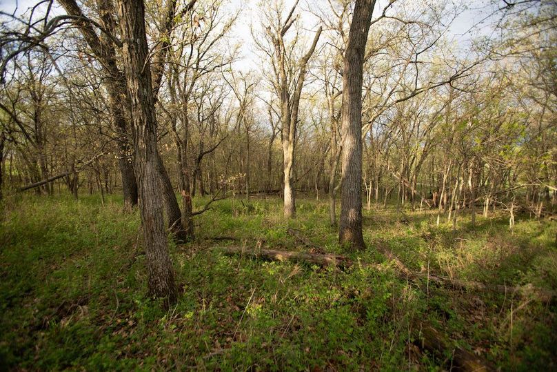 MONTGOMERY CO IA. 156.78_70