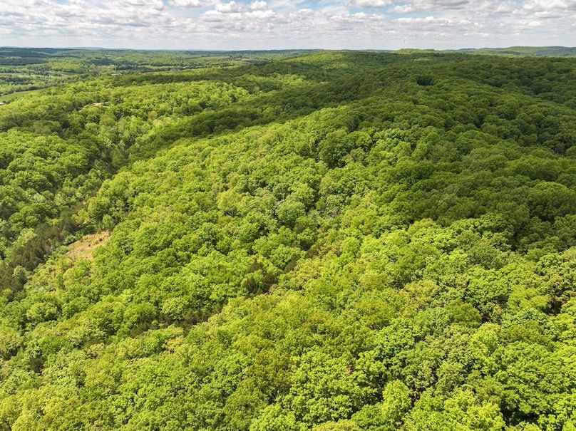 DJI_20250506124731_0231_D