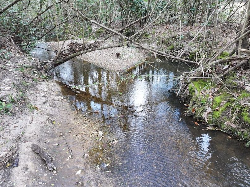 dji_fly_20260220_142504_0270_1771638825622_photo