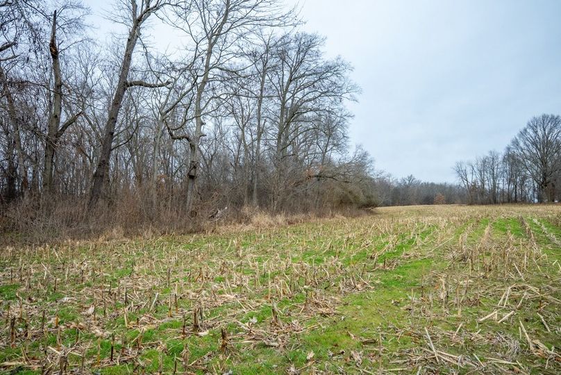 Copy of DSC00726 Large