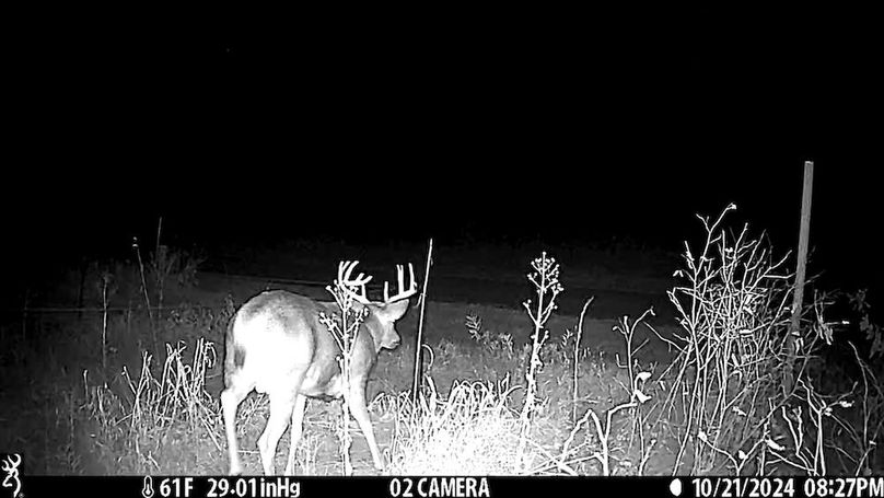 Juneau 27 Wiesner -057