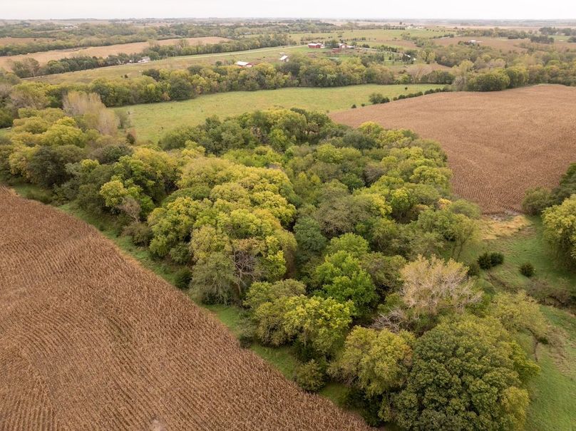 DJI_20251011101900_0139_D